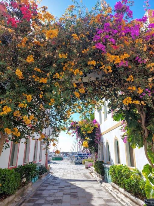 Vv Velero Lägenhet Puerto De Mogan Exteriör bild